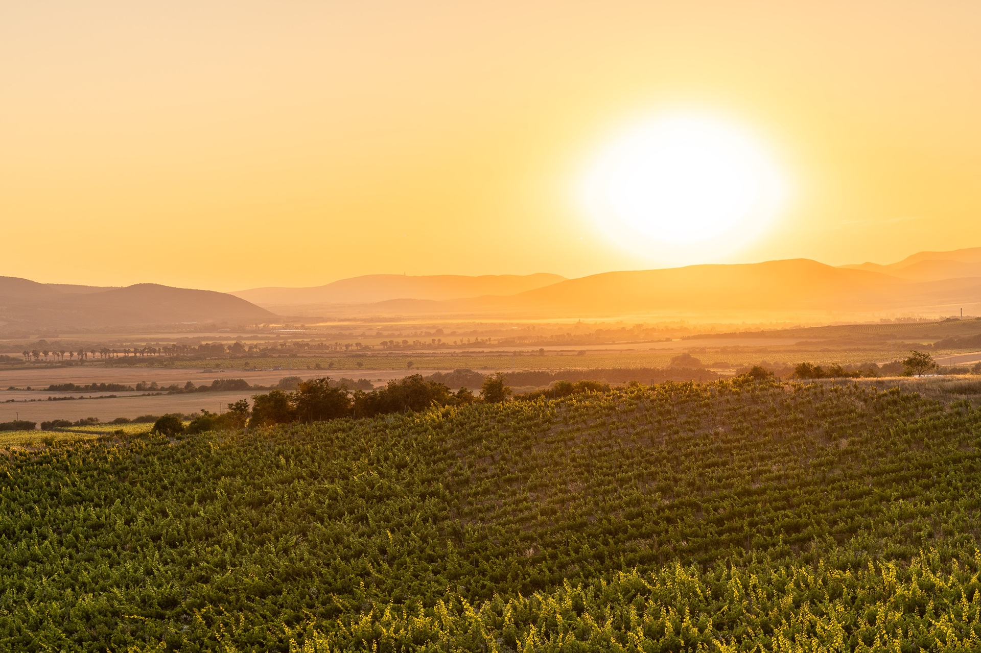 Tokaj Observation Tower