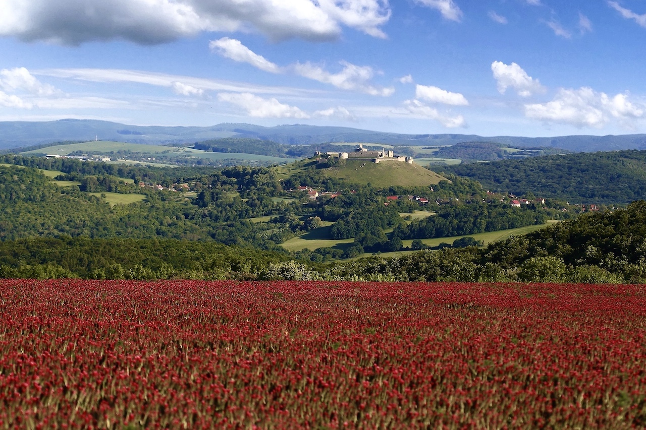Hrad Branč