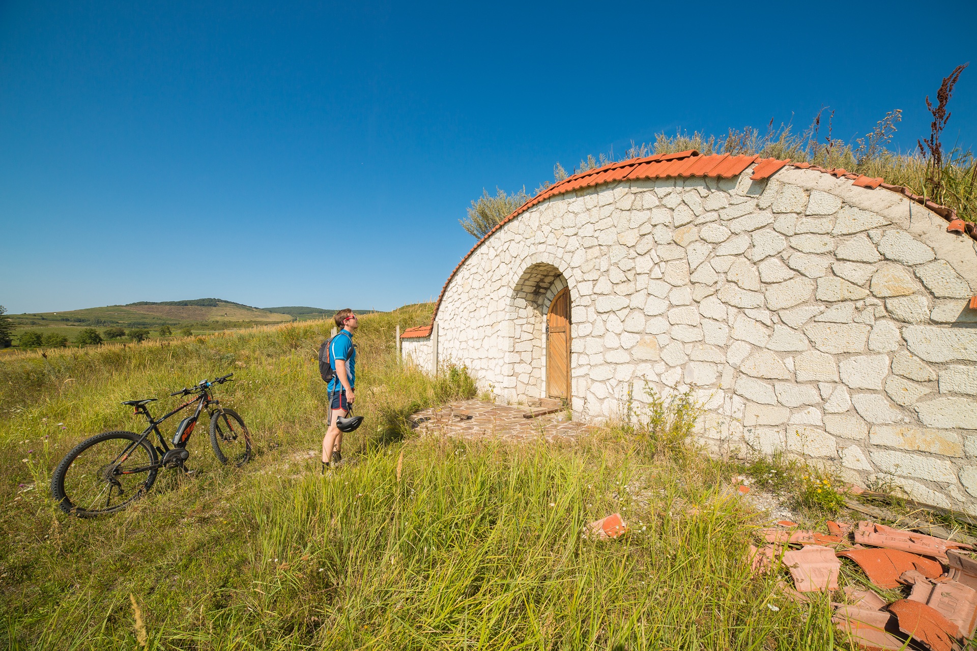 Scenic view of Tokaj wine region