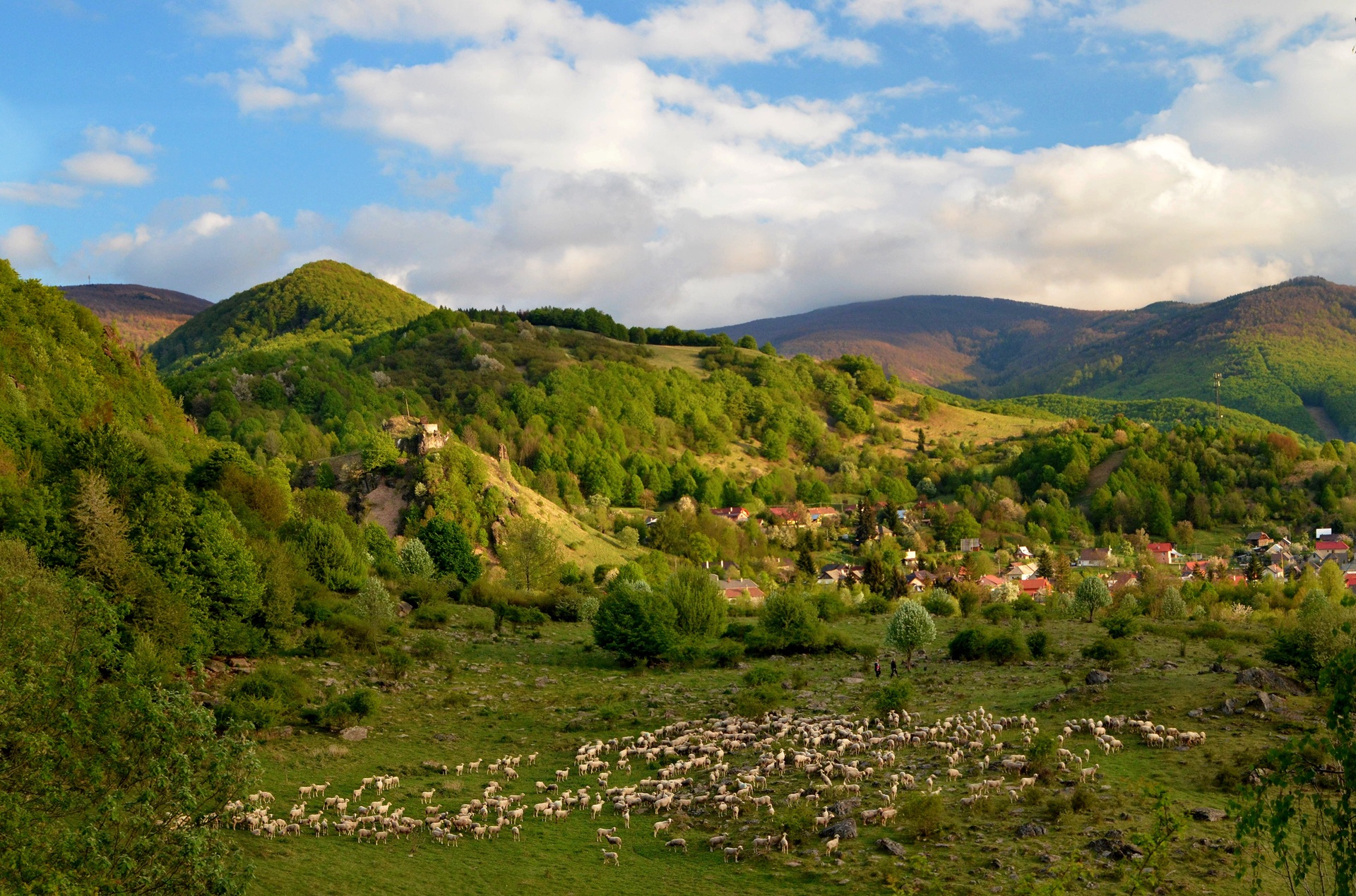 Sivý Kameň Castle ruins